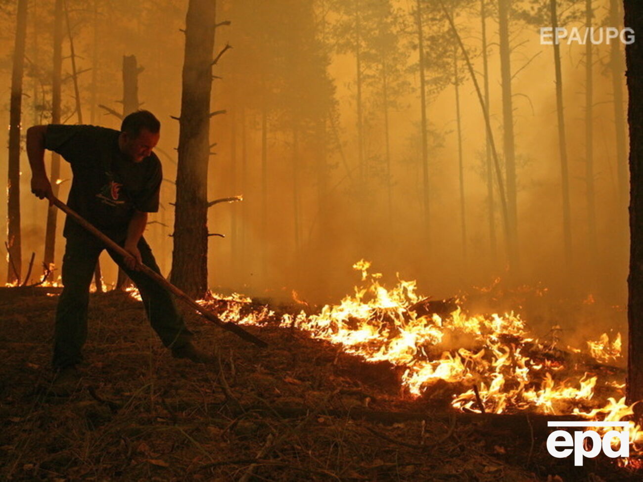 Российские власти заявили, что ликвидации очагов пожара в Бурятии в выходные мешал сильный порывистый ветер