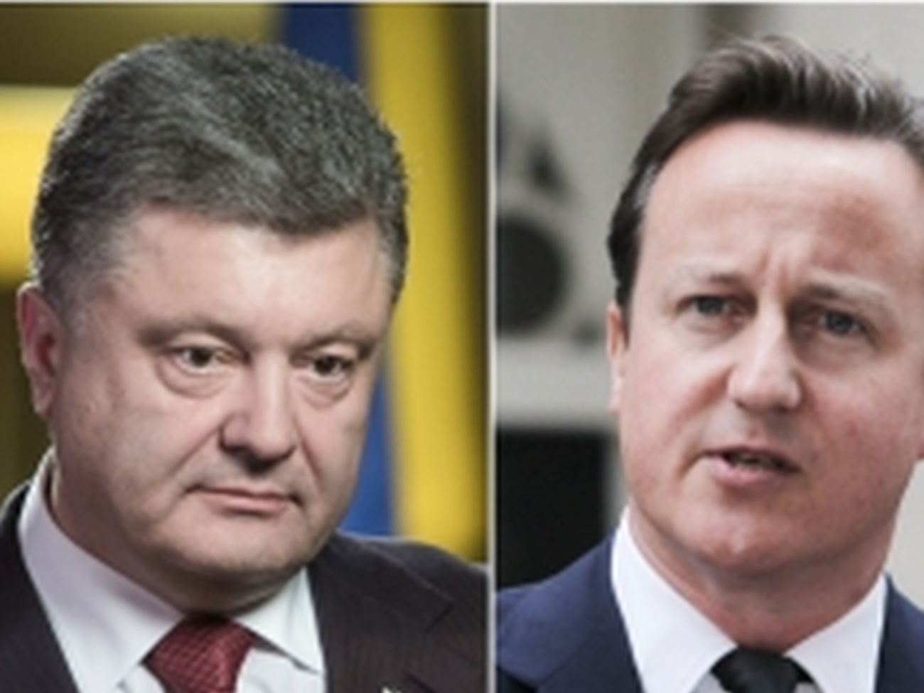 Президент Украины Петр Порошенко и премьер Великобритании Дэвид Кэмерон