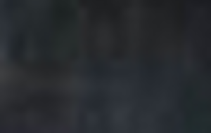 Во время обысков у представителей украинских офисов компаний сотрудники СБУ изъяли финансово-хозяйственную документацию, подтверждающую проведение сделок