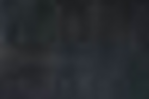 Во время обысков у представителей украинских офисов компаний сотрудники СБУ изъяли финансово-хозяйственную документацию, подтверждающую проведение сделок