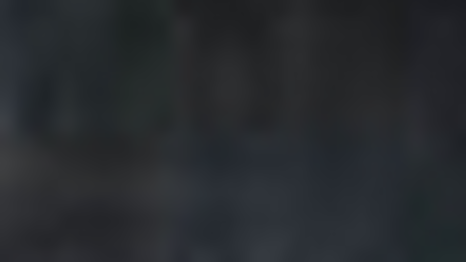 Во время обысков у представителей украинских офисов компаний сотрудники СБУ изъяли финансово-хозяйственную документацию, подтверждающую проведение сделок