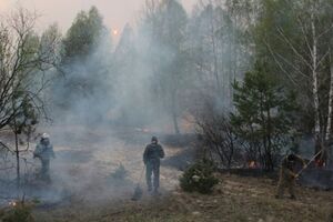 Пожар полностью потушен