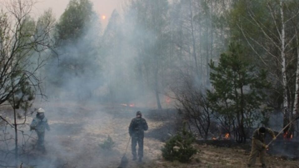 Пожар полностью потушен