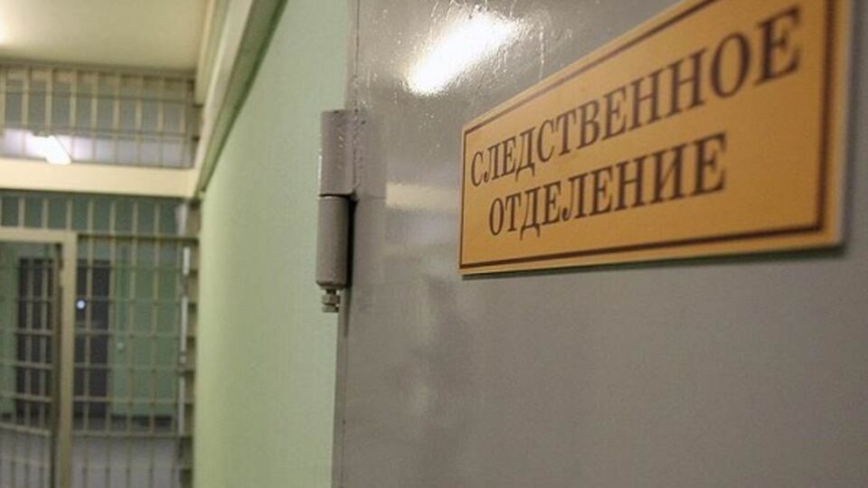 В Карелии депутатов и чиновников обвиняют в растлении несовершеннолетних