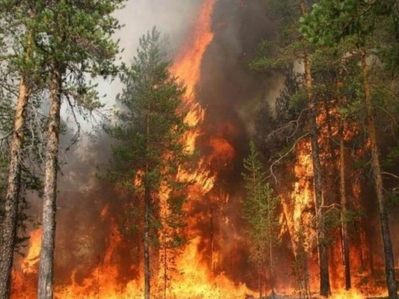 Расстояние от села до очага огня &ndash;&nbsp;не более 2 км