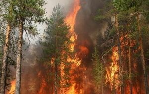 Расстояние от села до очага огня – не более 2 км