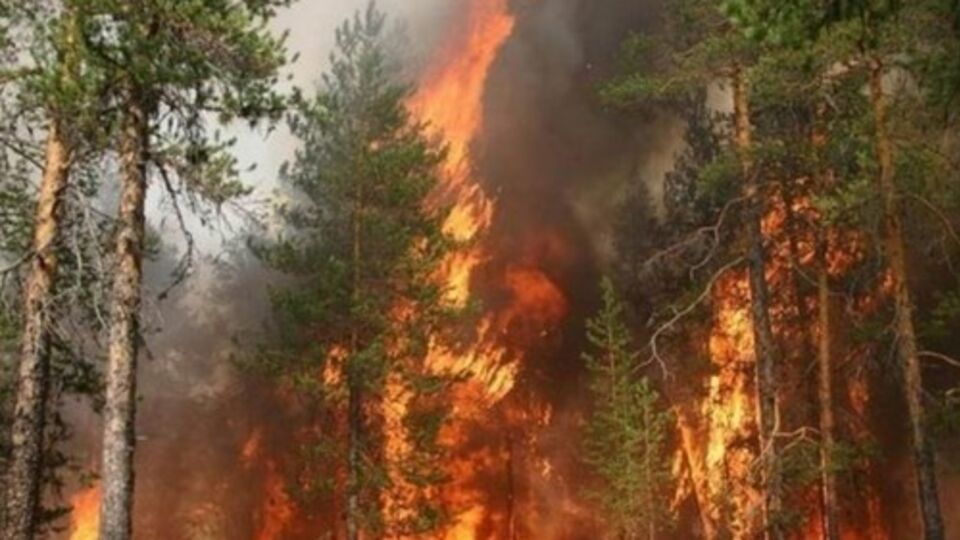 Расстояние от села до очага огня – не более 2 км