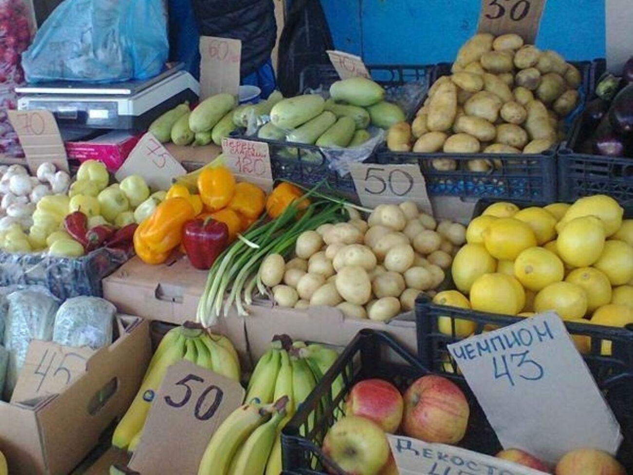 Не экономить на продуктах могут лишь представители оккупационной власти