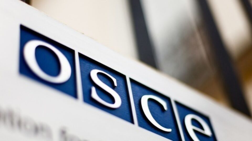 ОБСЕ: Пленные российские спецназовцы утверждали, что были на разведке