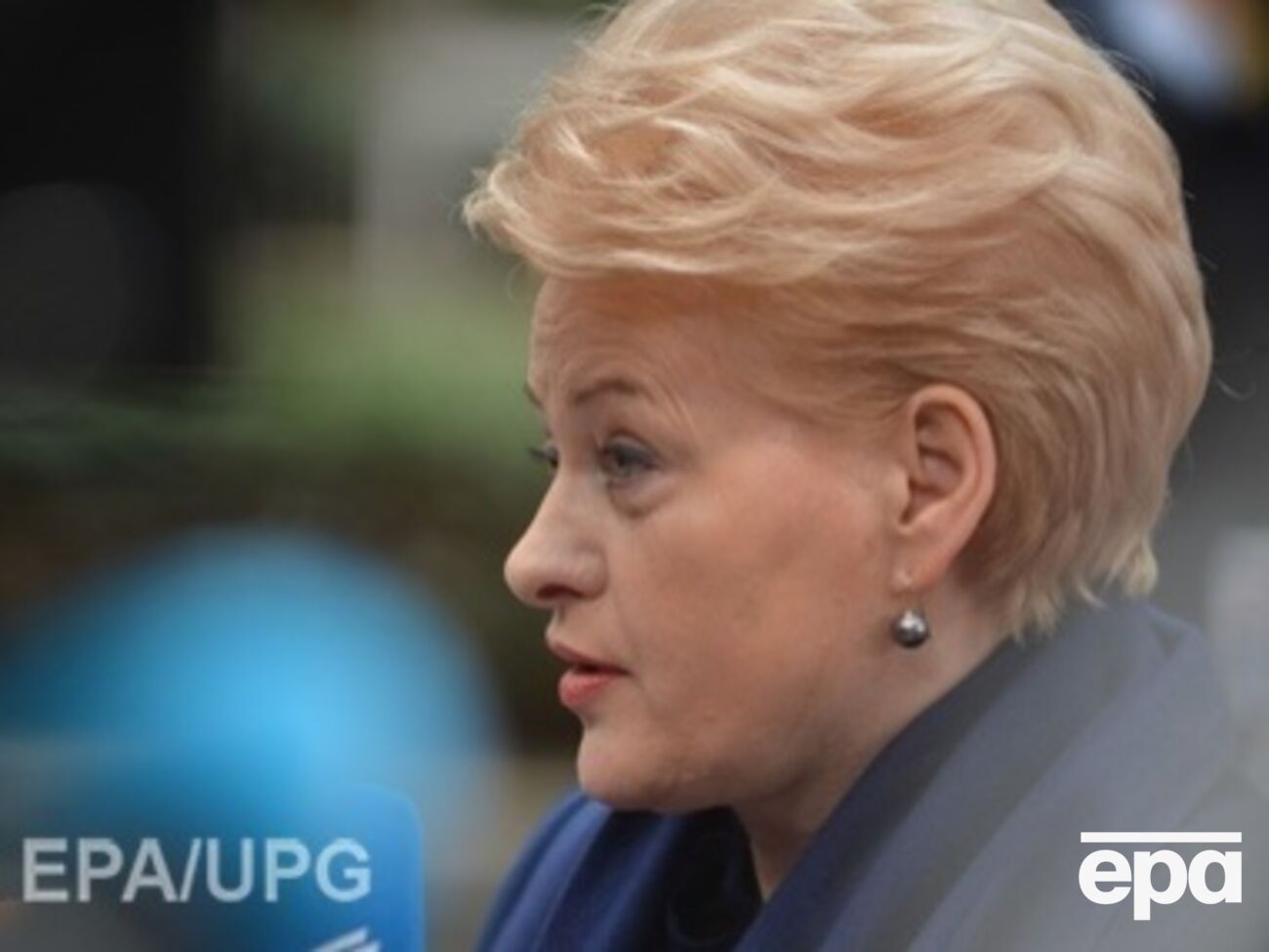 Грибаускайте:&nbsp;Еврокомиссия оценит выполнение Украиной плана действий по либерализации визового режима с ЕС в конце года