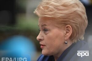 Грибаускайте: Еврокомиссия оценит выполнение Украиной плана действий по либерализации визового режима с ЕС в конце года