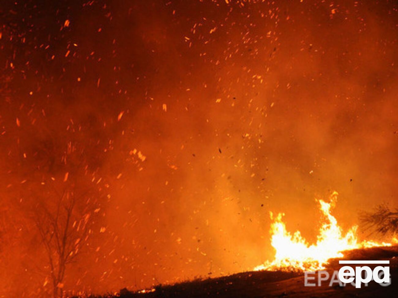23-25 мая пожарная опасность ожидается по всей Украине, кроме&nbsp;Закарпатской, Львовской, Волынской и Ивано-Франковской областей