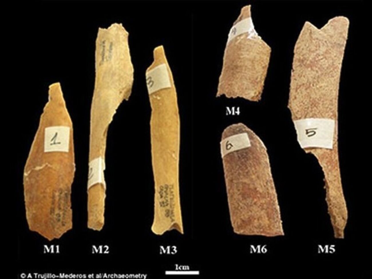 Способ приготовления объяснили кости жертв