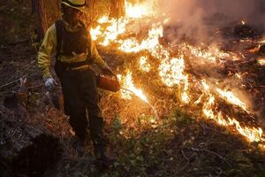 В Крыму объявили пожарную опасность