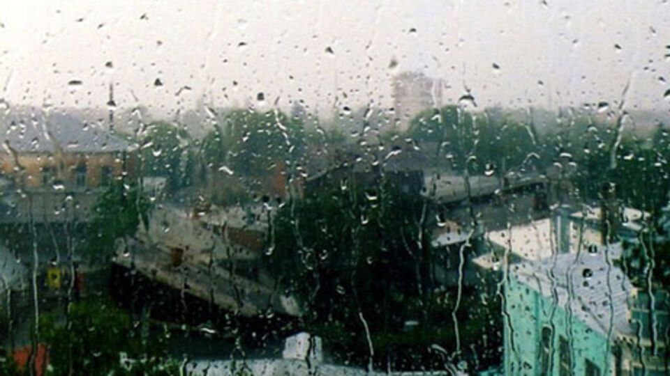 Сегодня дожди