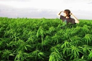 За такую фотографию депутат РФ Яровая предлагает садить на два года
