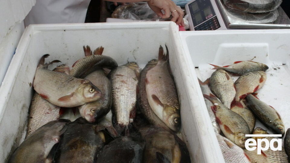 Российским проверяющим не понравилась рыба из Эстонии и Латвии