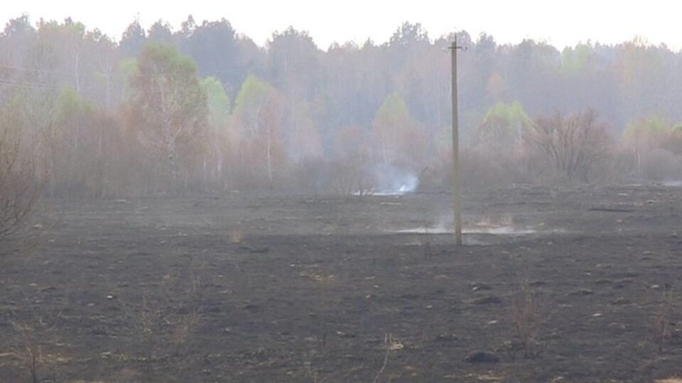 Повышение радиационного фона в результате пожара на прилегающих территориях не зафиксировано