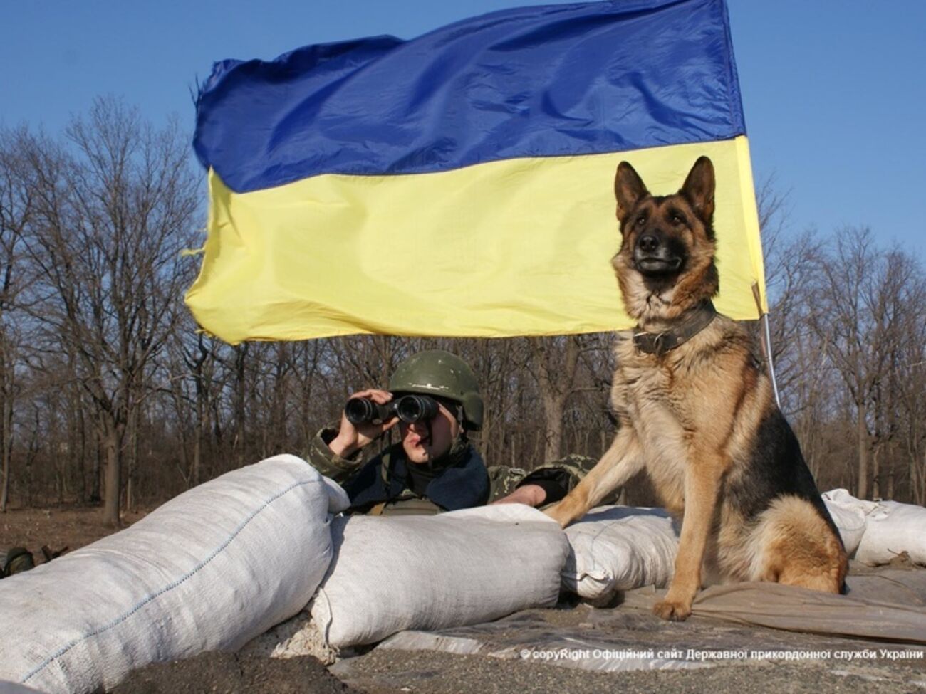 Пограничники задержали боевика "ЛНР"