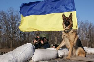 Пограничники задержали боевика "ЛНР"