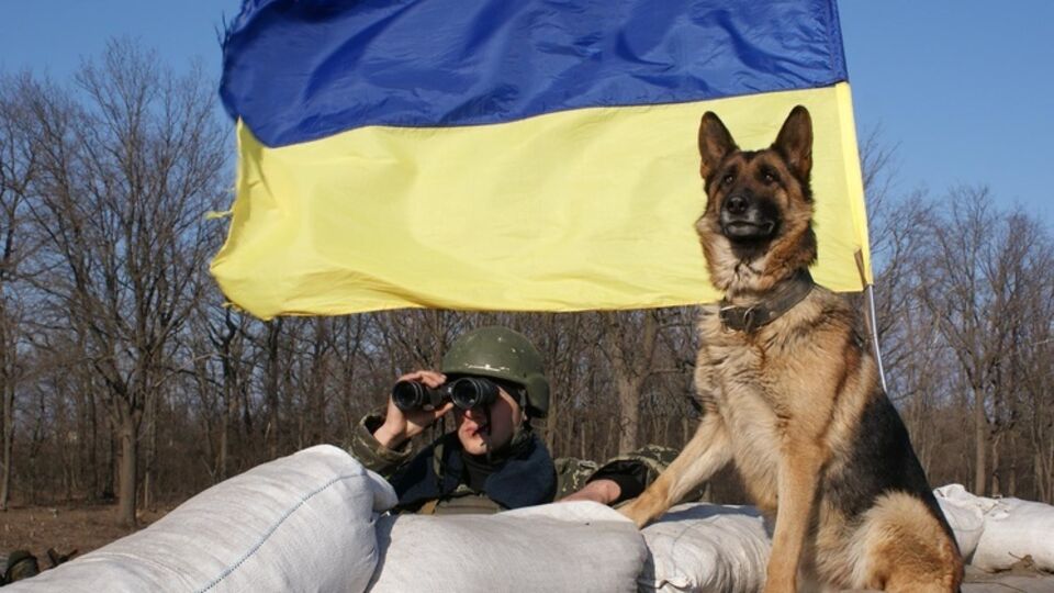 Пограничники задержали боевика "ЛНР"