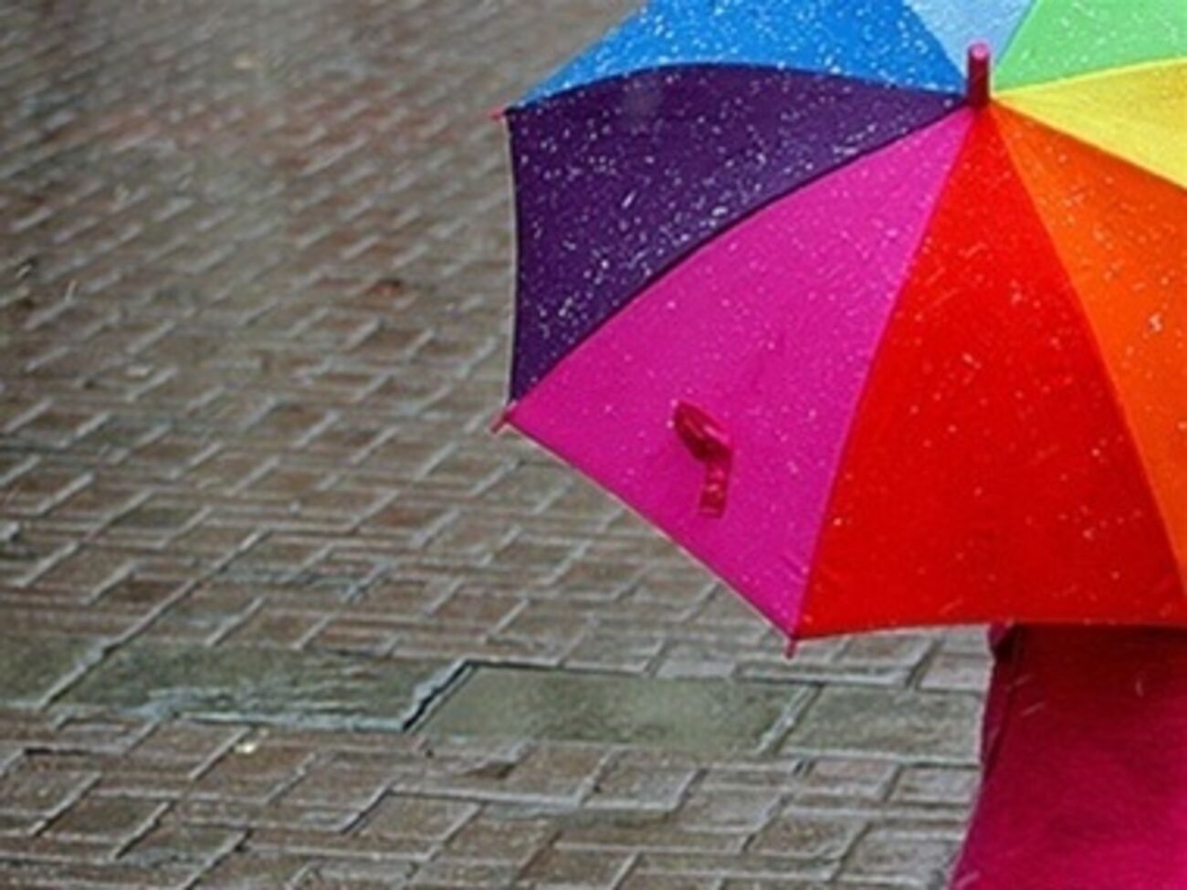 Сегодня дожди