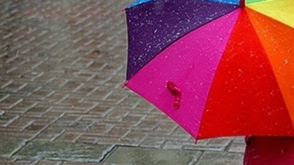 Сегодня дожди