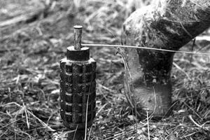 Отец с сыном задели растяжку