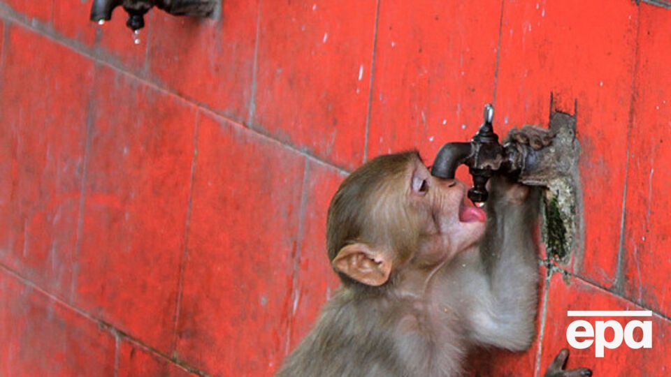 Температура воздуха в некоторых регионах Индии достигает +50 ºС