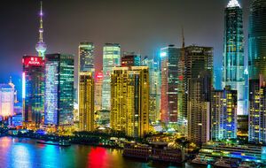 Некоторые критики считают, что ограничения недостаточно жесткие