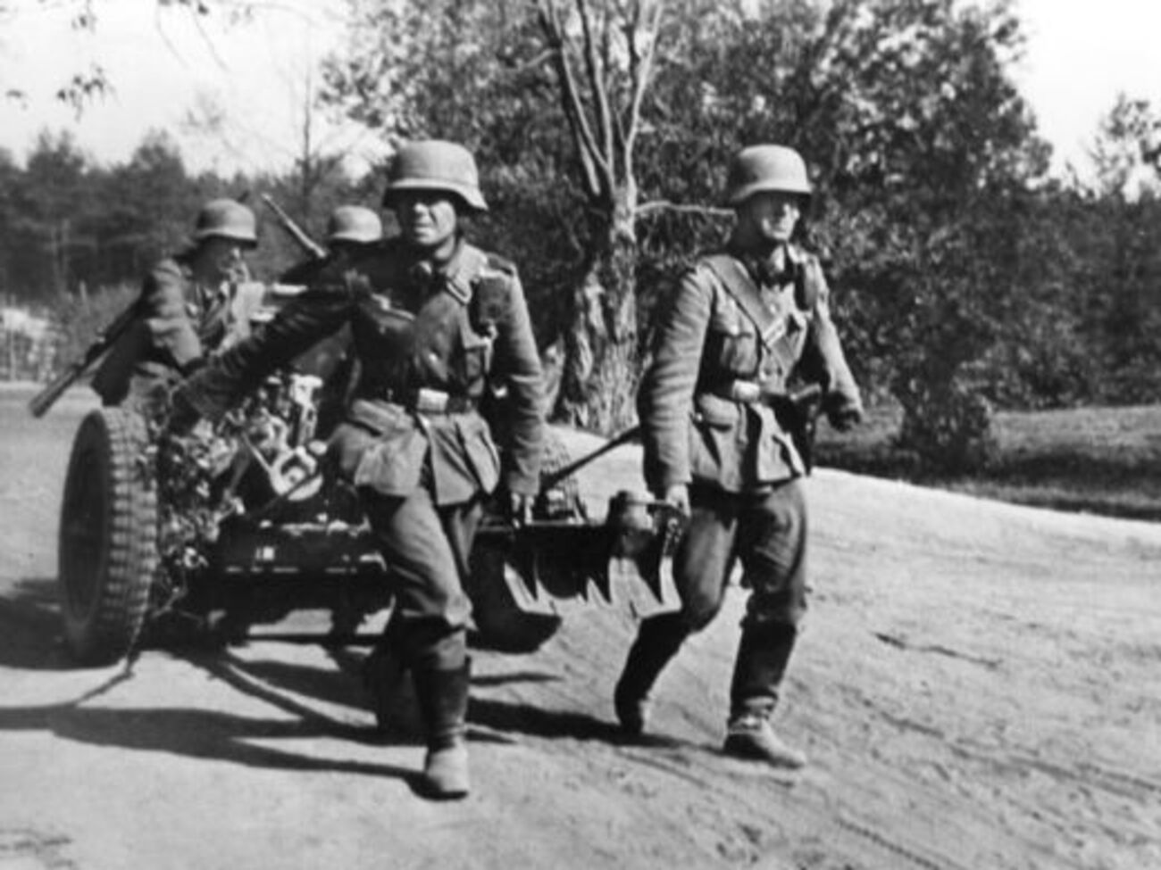 Фото, которое использовалось для изготовления поздравительных открыток