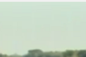 Клюй: Я реальных ветеранов УПА не видел и не знаю. А тем, которые сегодня ходят по площадям на митингах, руки не дал бы