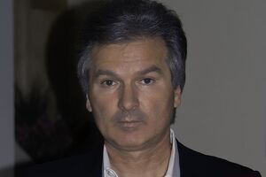 "Хорватский вариант" красивый, но для Украины невыполнимый, считает Швец