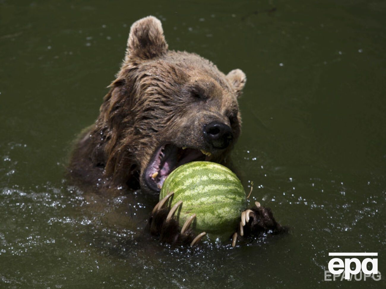В Украине сохраняется жаркая погода