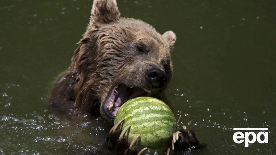 В Украине сохраняется жаркая погода