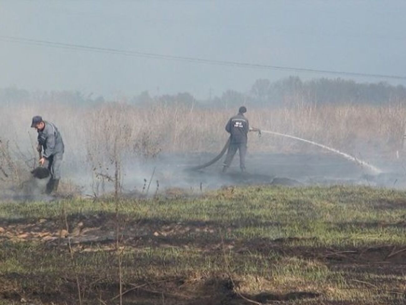 В Киевской области горят торфяники
