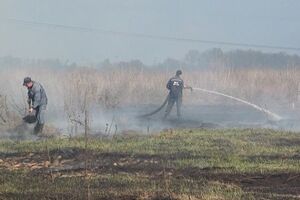 В Киевской области горят торфяники