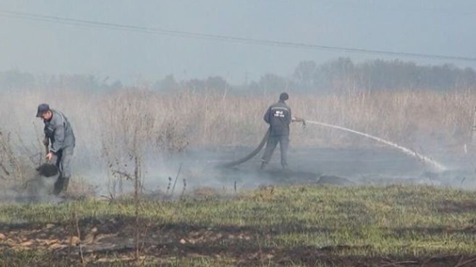В Киевской области горят торфяники