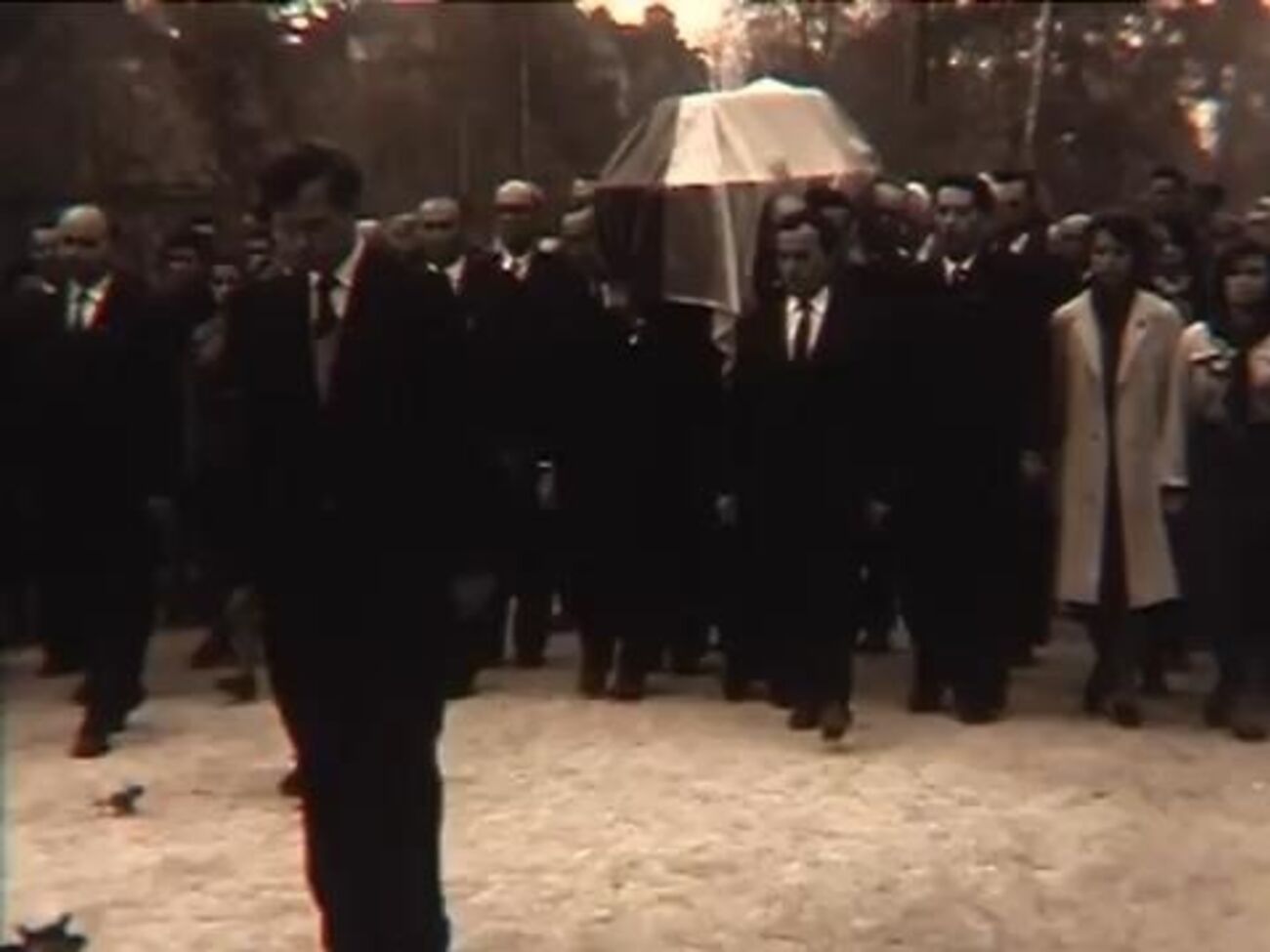 Скриншот видео