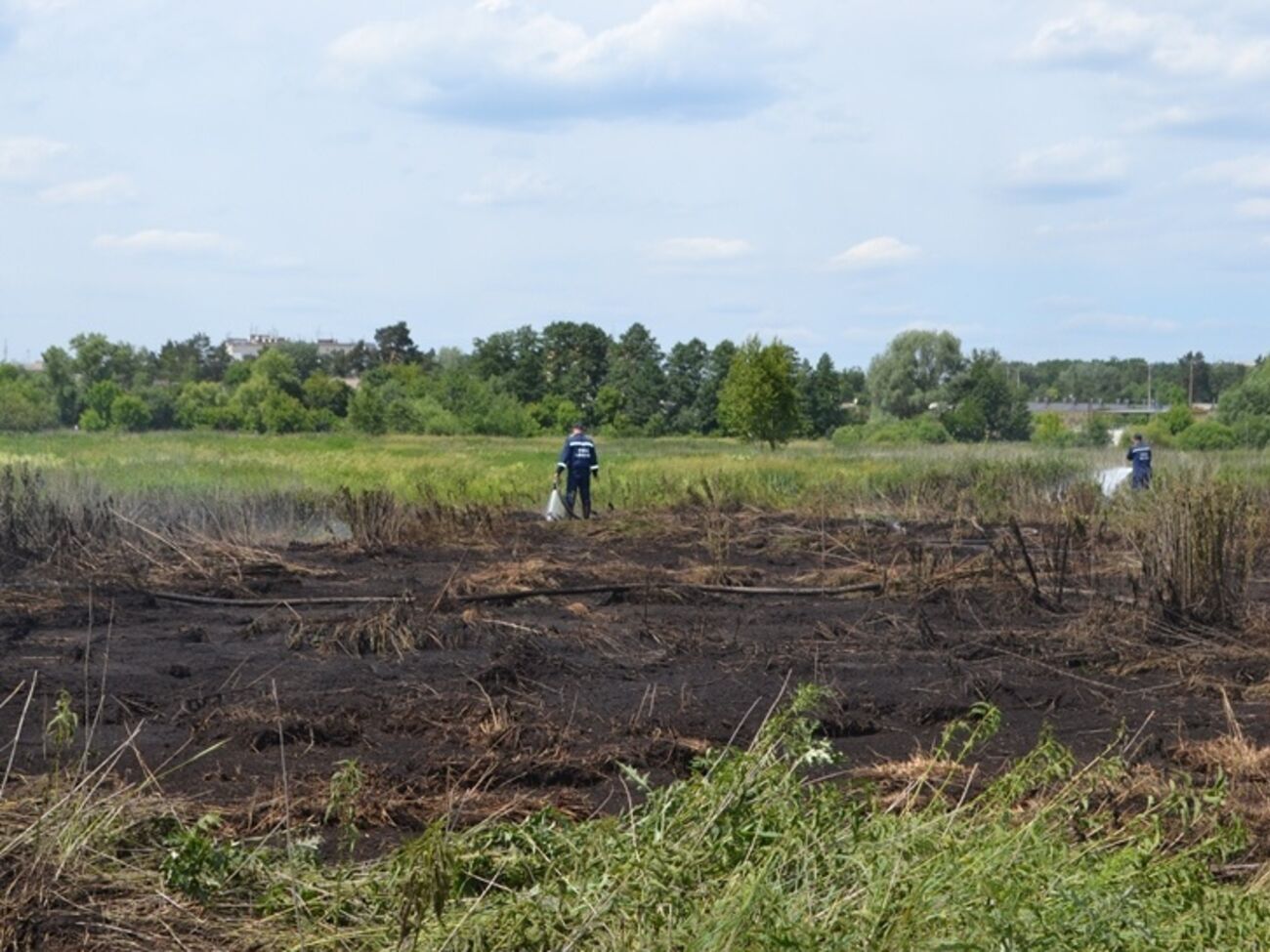 Из-за тлеющих торфяников вблизи Ирпеня содержание загрязняющих веществ в воздухе Киева превышает норму