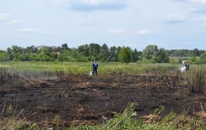 Из-за тлеющих торфяников вблизи Ирпеня содержание загрязняющих веществ в воздухе Киева превышает норму