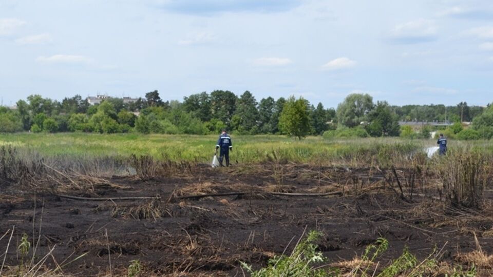 Из-за тлеющих торфяников вблизи Ирпеня содержание загрязняющих веществ в воздухе Киева превышает норму