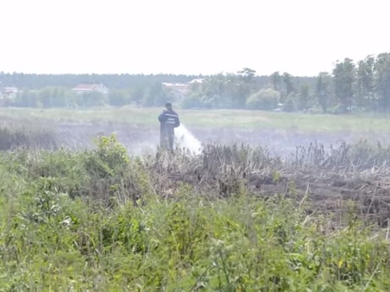 В Киевской области горят торфяники