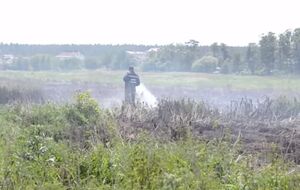В Киевской области горят торфяники