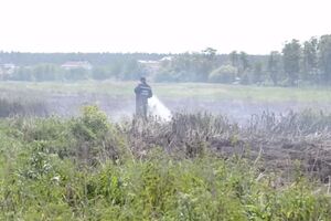 В Киевской области горят торфяники