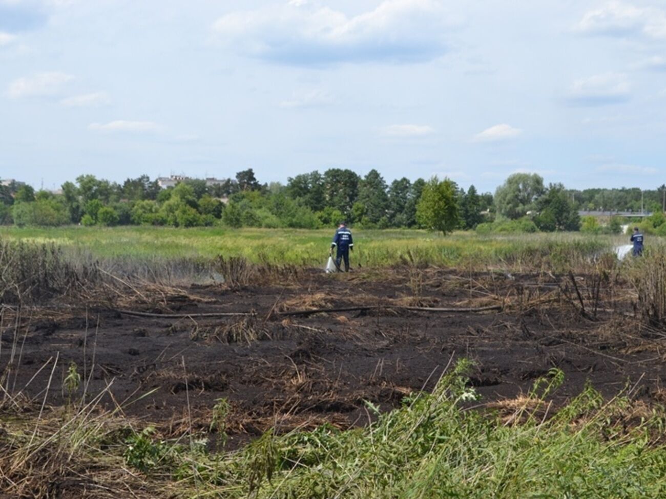ГСЧС: Для ликвидации возгораний торфяных залежей в Киевской области привлечены 25 спасателей