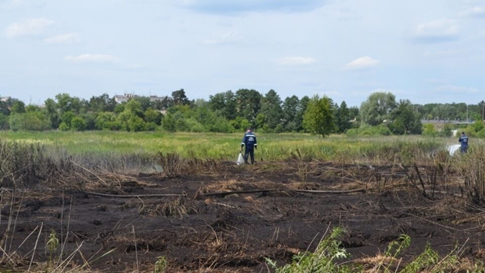 ГСЧС: Для ликвидации возгораний торфяных залежей в Киевской области привлечены 25 спасателей