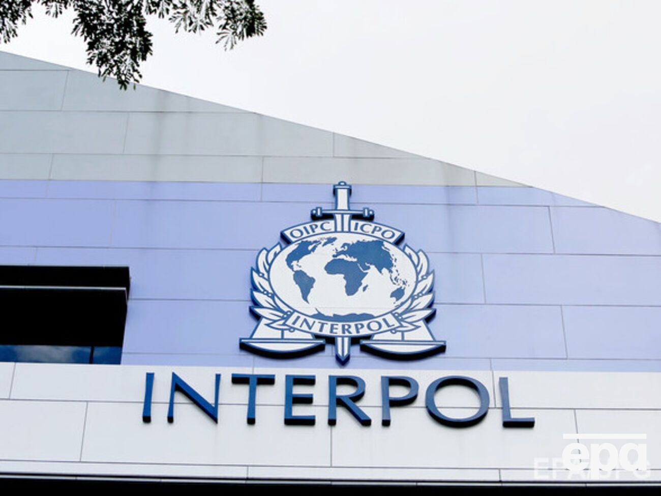 Интерпол не хочет сотрудничать с ФИФА