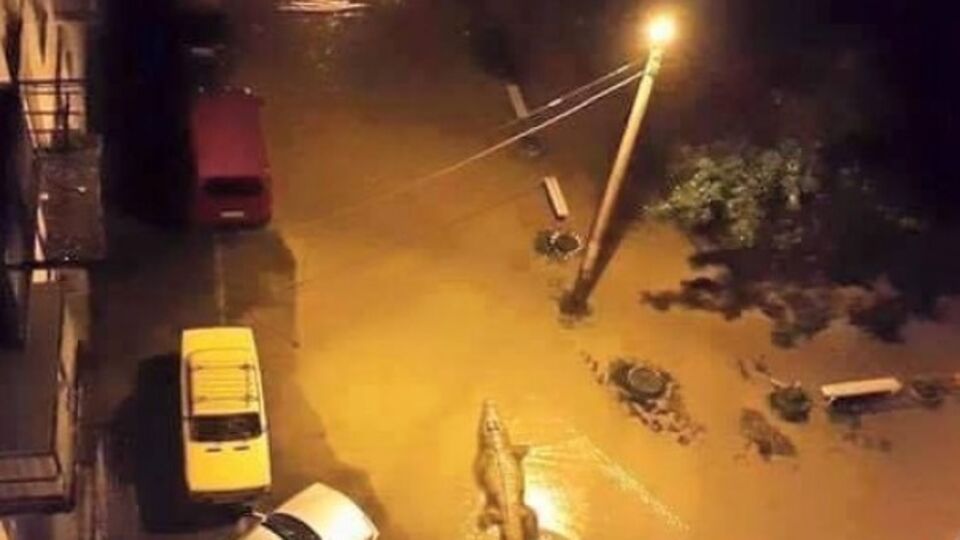 Из местного зоопарка сбежали хищники