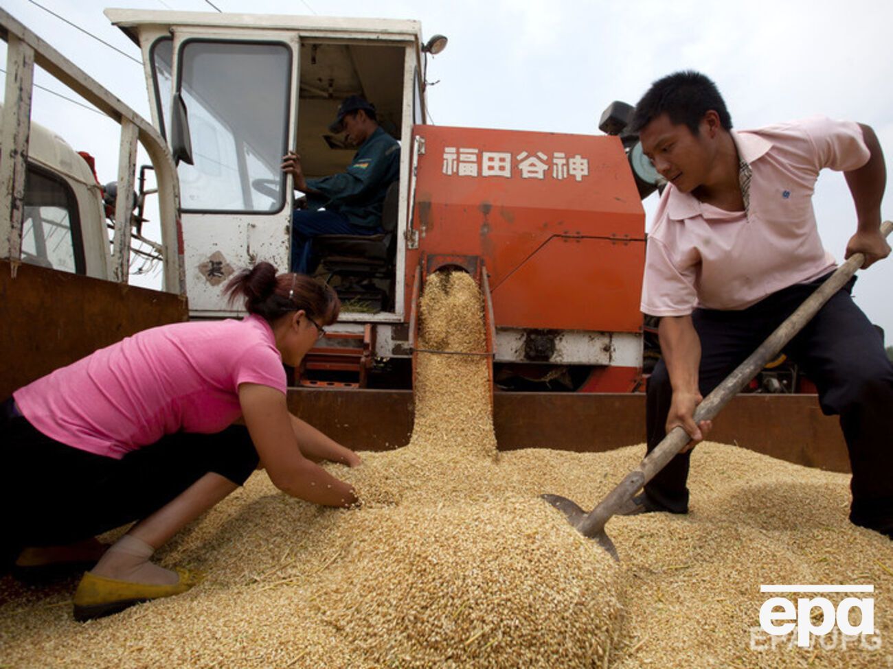 Китайцы активно используют российские земли для сельхозработ